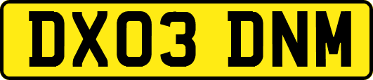 DX03DNM