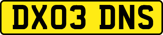 DX03DNS