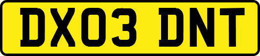 DX03DNT