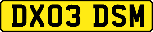 DX03DSM