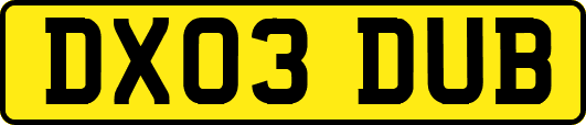 DX03DUB