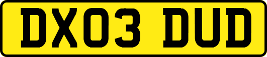 DX03DUD