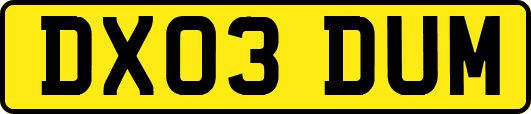 DX03DUM