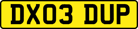 DX03DUP