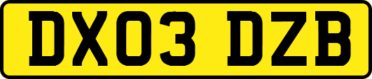 DX03DZB