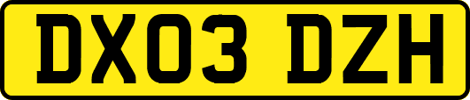 DX03DZH