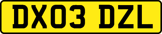DX03DZL