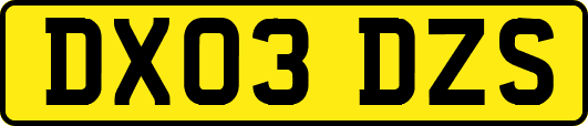 DX03DZS