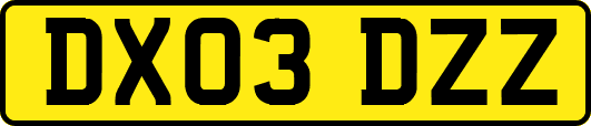 DX03DZZ