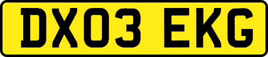 DX03EKG