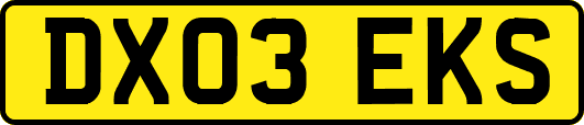 DX03EKS