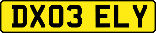 DX03ELY