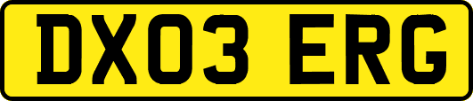 DX03ERG