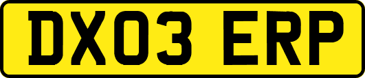 DX03ERP