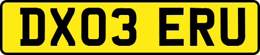 DX03ERU
