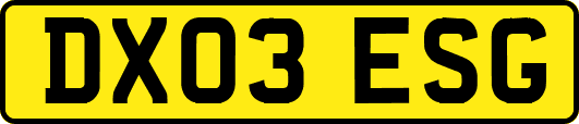 DX03ESG
