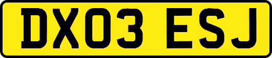 DX03ESJ