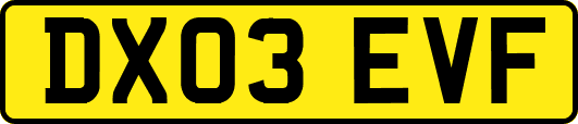 DX03EVF