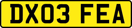 DX03FEA