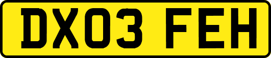 DX03FEH
