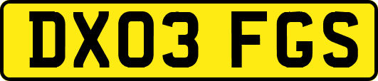 DX03FGS