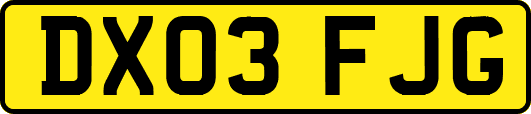 DX03FJG