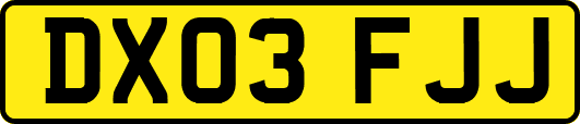 DX03FJJ