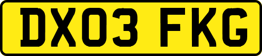 DX03FKG
