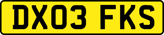 DX03FKS
