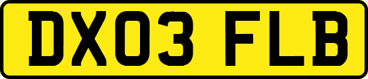 DX03FLB