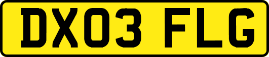 DX03FLG