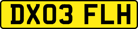 DX03FLH