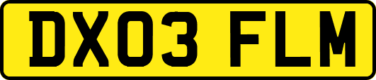DX03FLM