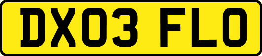 DX03FLO