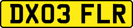 DX03FLR