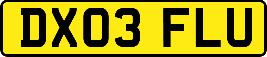 DX03FLU