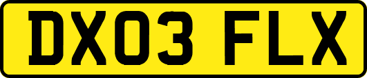 DX03FLX
