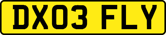 DX03FLY