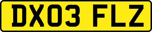DX03FLZ