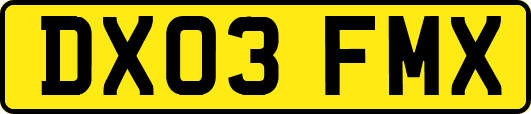 DX03FMX