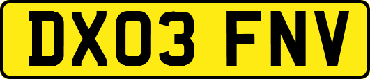 DX03FNV
