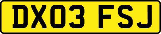 DX03FSJ
