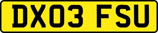 DX03FSU