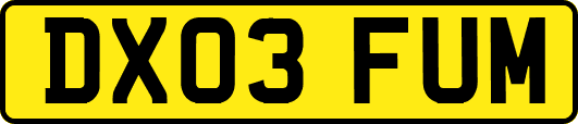 DX03FUM