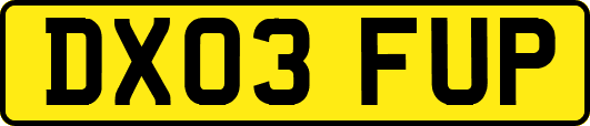 DX03FUP