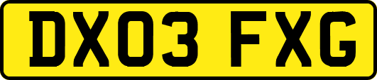 DX03FXG