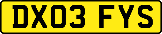 DX03FYS