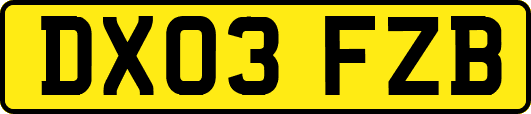 DX03FZB