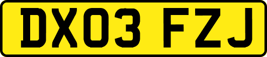 DX03FZJ