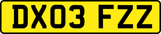 DX03FZZ